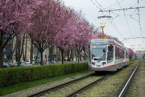 Краснодар развивает  трамвайные сети